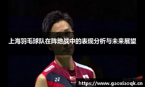 上海羽毛球队在阵地战中的表现分析与未来展望
