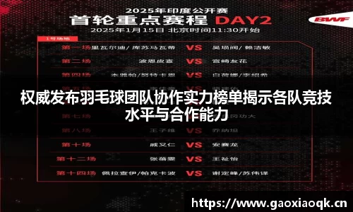 权威发布羽毛球团队协作实力榜单揭示各队竞技水平与合作能力