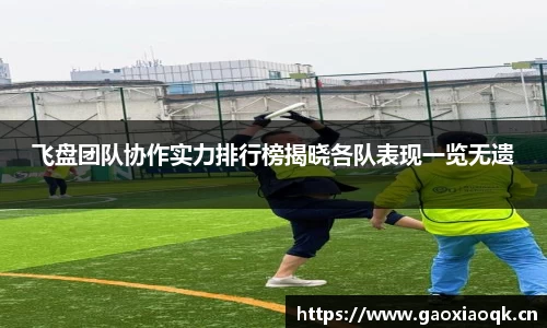 飞盘团队协作实力排行榜揭晓各队表现一览无遗